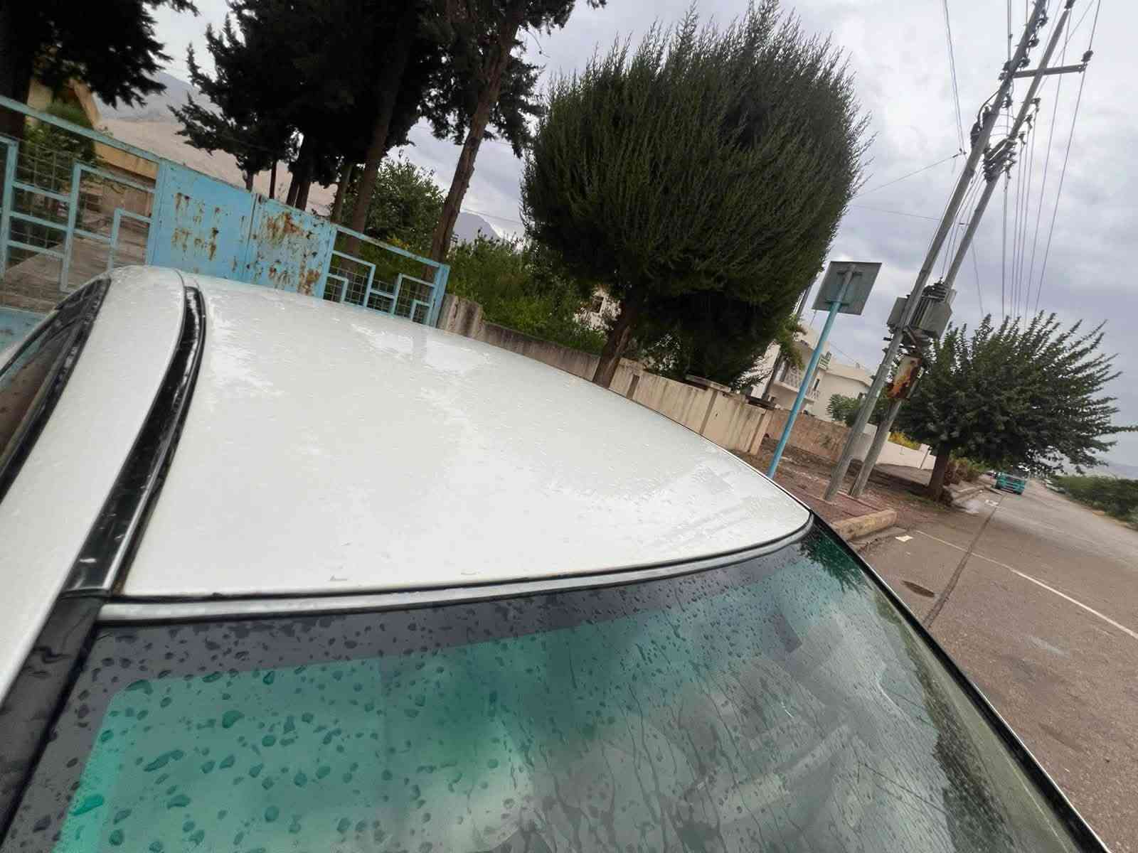 شاهینەی موس • ٢٠٠٧ • فتحة سقف