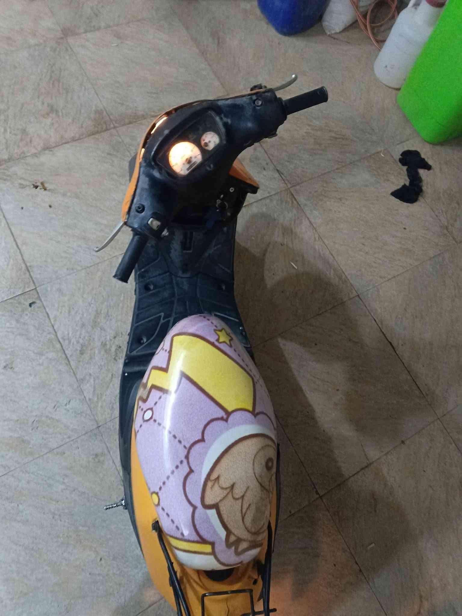 بيجي • شغاله • كوت داموك