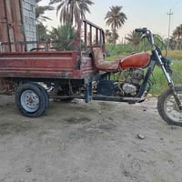 ستوته • دايون • سلف
