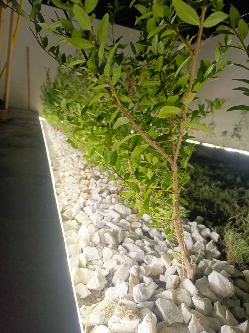 🌿 المهندس لديكورات وتصميم الحدائق 🌿
✨ يتوفر لدينا خدمة العمل بالأقساط 
💳 مقدم بسيط والباقي على شكل أقساط مريحة
🔹 خدماتنا: • ديكورات حدائق بتصاميم هندسية عصرية
• تصميم وتنفيذ الحدائق المنزلية
• تنسيق وزراعة النباتات
• أنظمة ري وتوزيع هندسي للحديقة
• خدمات التسميد والتغذية النباتية
• قص وتقليم الأشجار والنباتات
• صيانة ومتابعة الحدائق
• اشتراكات شهرية للعناية بالحديقة 🌱
📲 واتساب: ***********
📞 اتصال: ***********
📞📱***********
