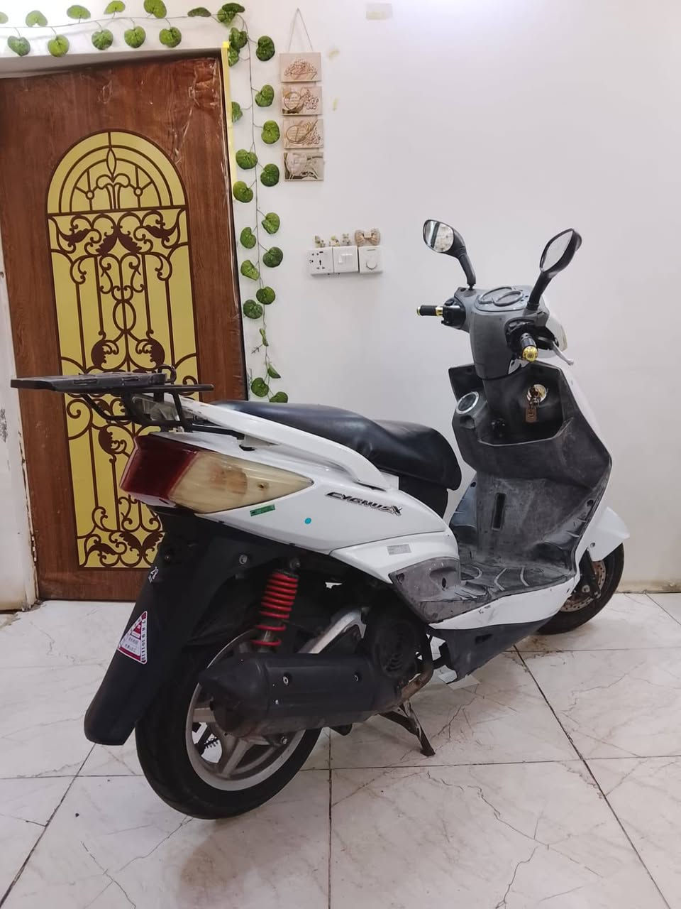 سلام عليكم سكنس فحل رمبه بعدهي بحاله الوكاله مكينه مينسع صوتها ناعمه خير من الله او علفحص نكره سلف كل وقت اخوان دراجه كفاله عامه يعني نقص واحد مابيها اوراق المعرض موجوده السعر 750 عنواني بغداد قرب ملعب الزوراء ***********
