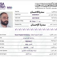 صدور الفيز • مجموعة ٨/٢٥ • جوازات ٩/٣