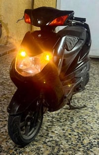 سكنس فحل • محرك مكفول • اوراق كامله