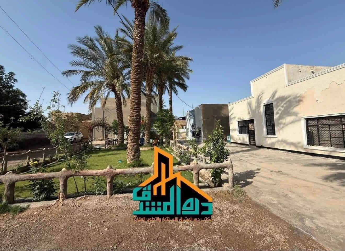 ام طباشي • زراعي سند ٢٥ • ٢٣٥٠م