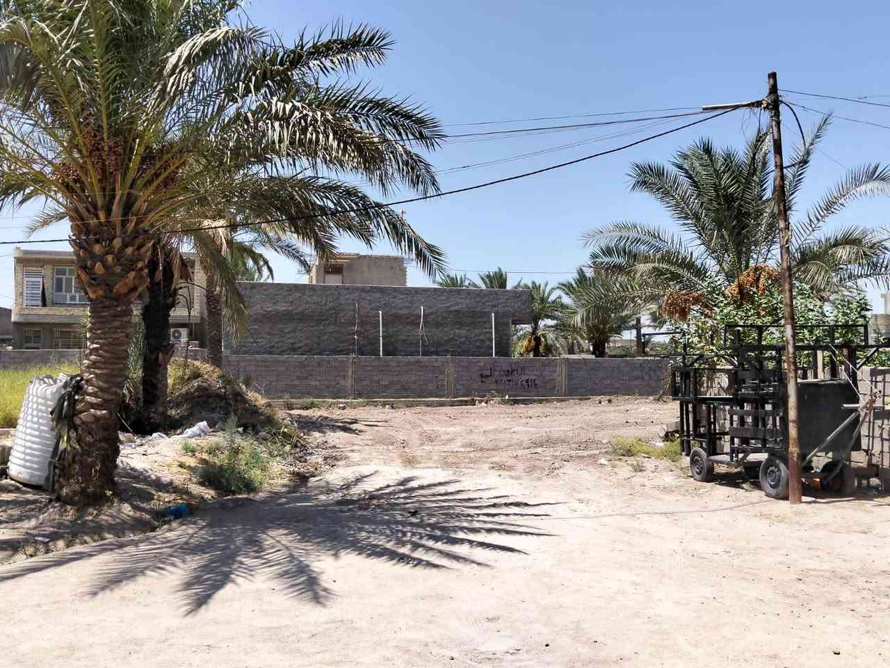 السلام عليكم قطعه ارض للبيع زراعي مساحه 450متر كامله خدمات بيهاا مجاري مي كهرباء تبليط واجهيه 12 وبيهاا باب خلفي واجهيته متر ونص حي كامل مبني يمهاا مكانها حي المعامره مقابيل حي الجزائر للاستفسار ***********
