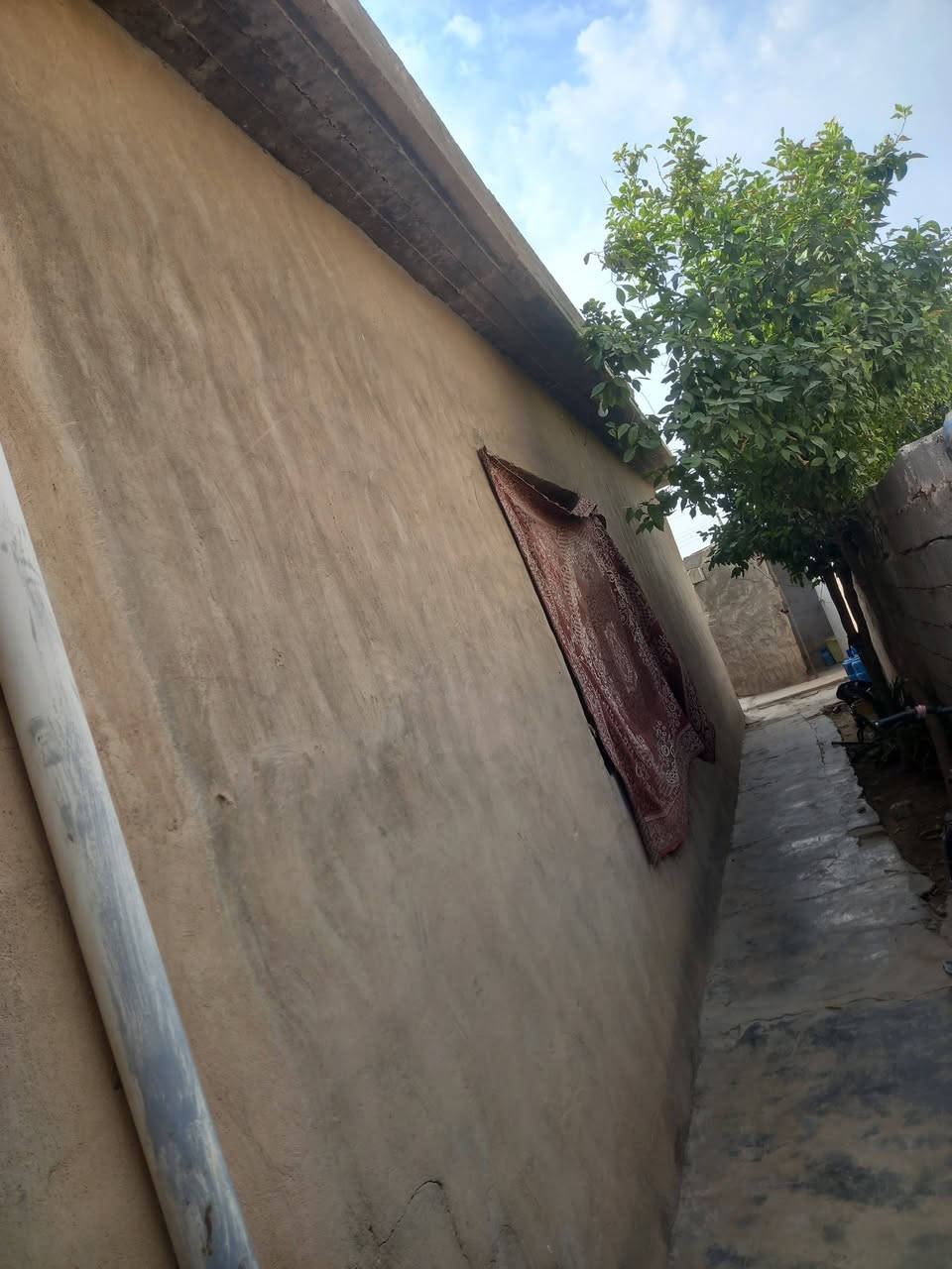 جمعية قرب سيد محسن • ٣٠٠م زراعي • ٣ غرف