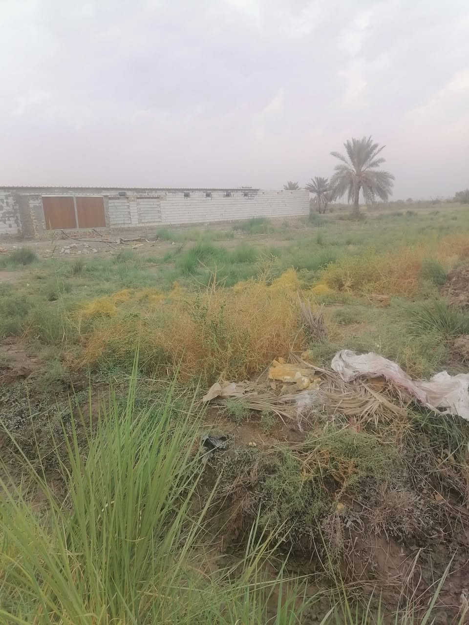 ٢ دونم • مويه وكهرباء • طابو