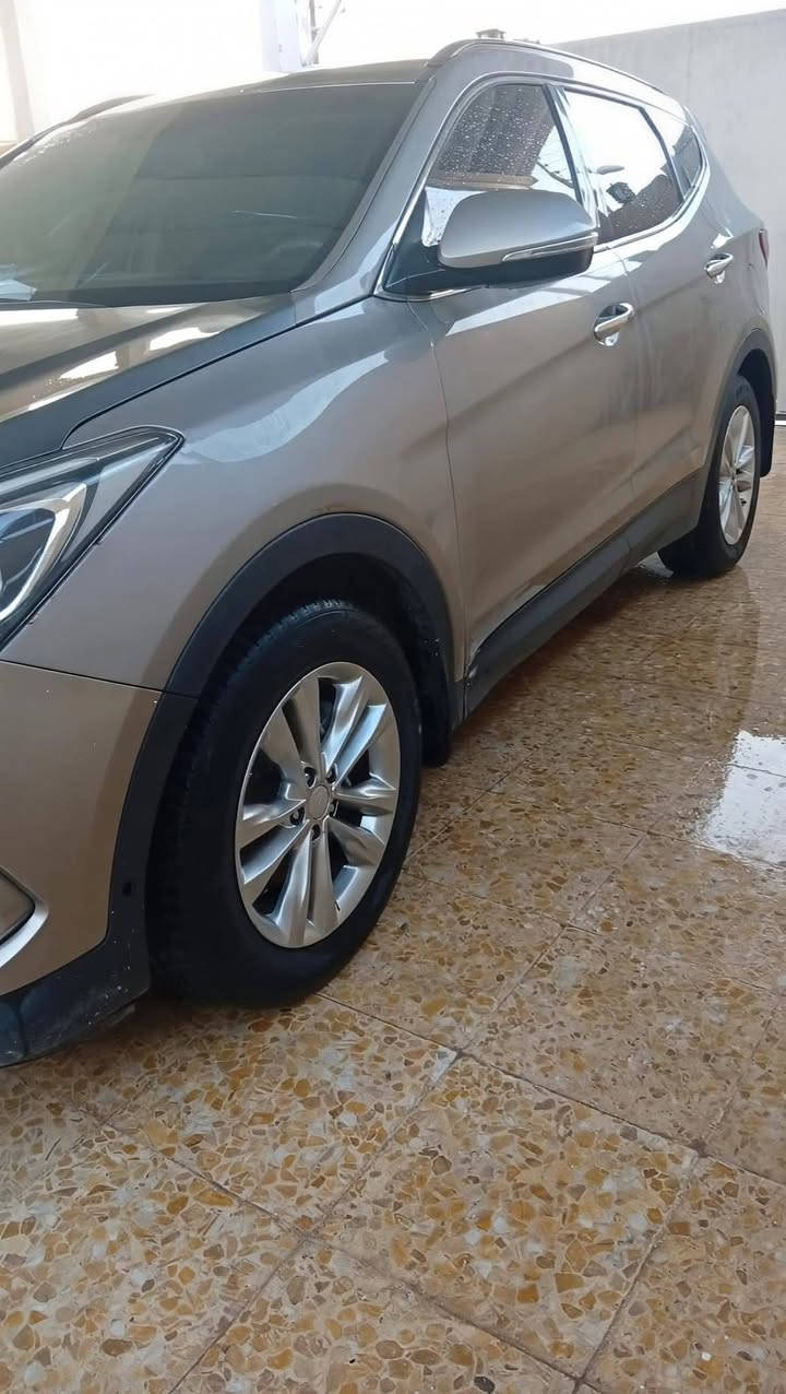سنتافي • ٢٠١٧ • رقم اربيل