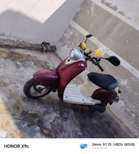 جديده • ابلاديه • مامفتوح