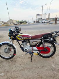 تايجر • ٢٠٢٤ • ديالى