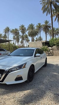 التيما S • وارد امريكي • رقم اربيل
