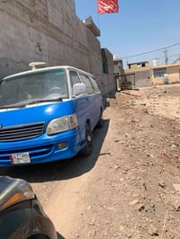 بابل جبله • صبغ جديد • معمرة