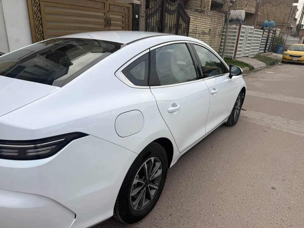 دست ريول • ٢٠٢٥ • رقم بغداد