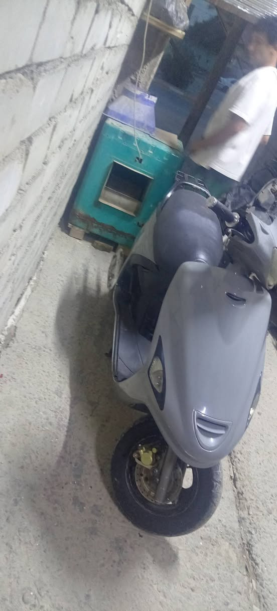 فراشه • فحل • النجف