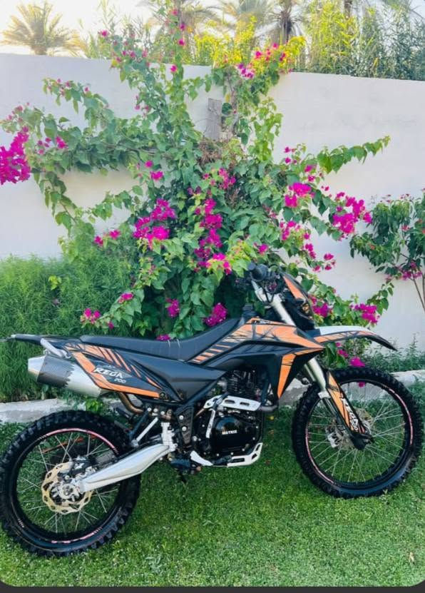 سلام عليكم 🖤
قفاز ماتركس موديل 23
اصولي مكفول برغي مامبدل 
نضيفه استعمال قليل 
تجي تفحص وشوف 
لمكان كربلاء لحسينيه 
السعر مليون و300وبيه مجال لطيبين 

***********..  خاص مفتوح
