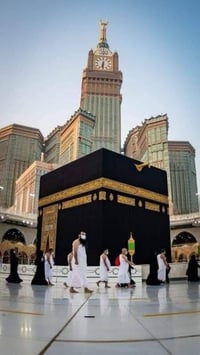 عمرة البر • ٧-١١-٢٠٢٦ • نظام تقسيط