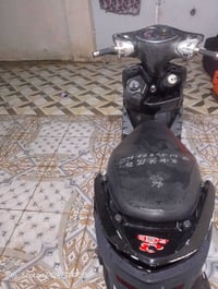 سكنس فحل • ماعوزه شي • كوت
