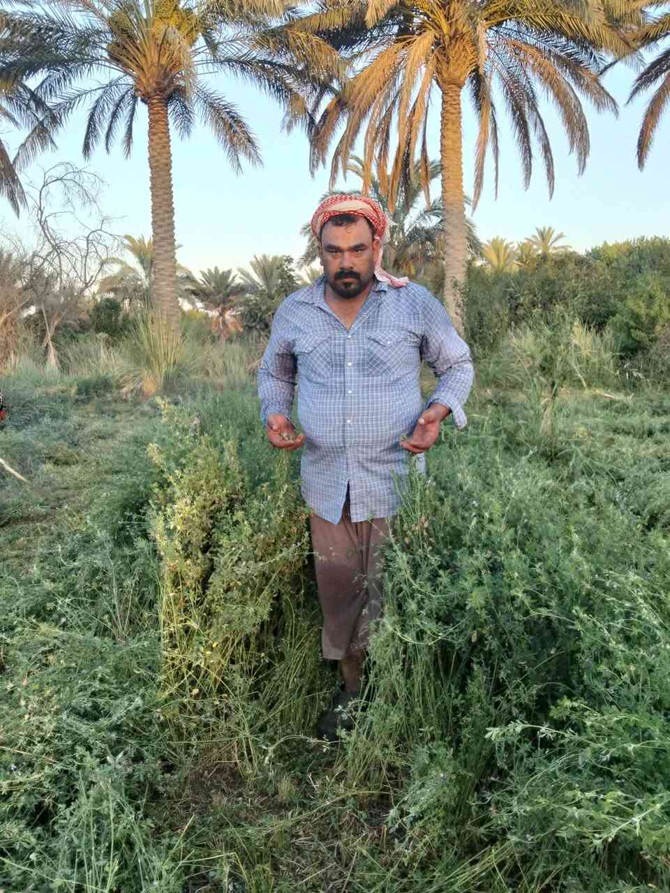 متاح بزر جت للبيع  مكفول
السعر12 الف وبي مجال بسيط 
***********

