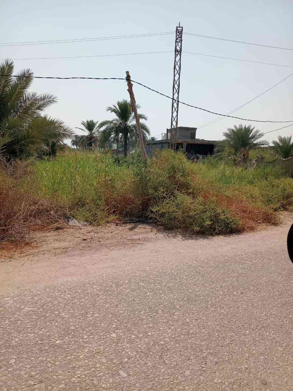 بالوجه • نص دونم • سند ٢٥ طابو زراعي