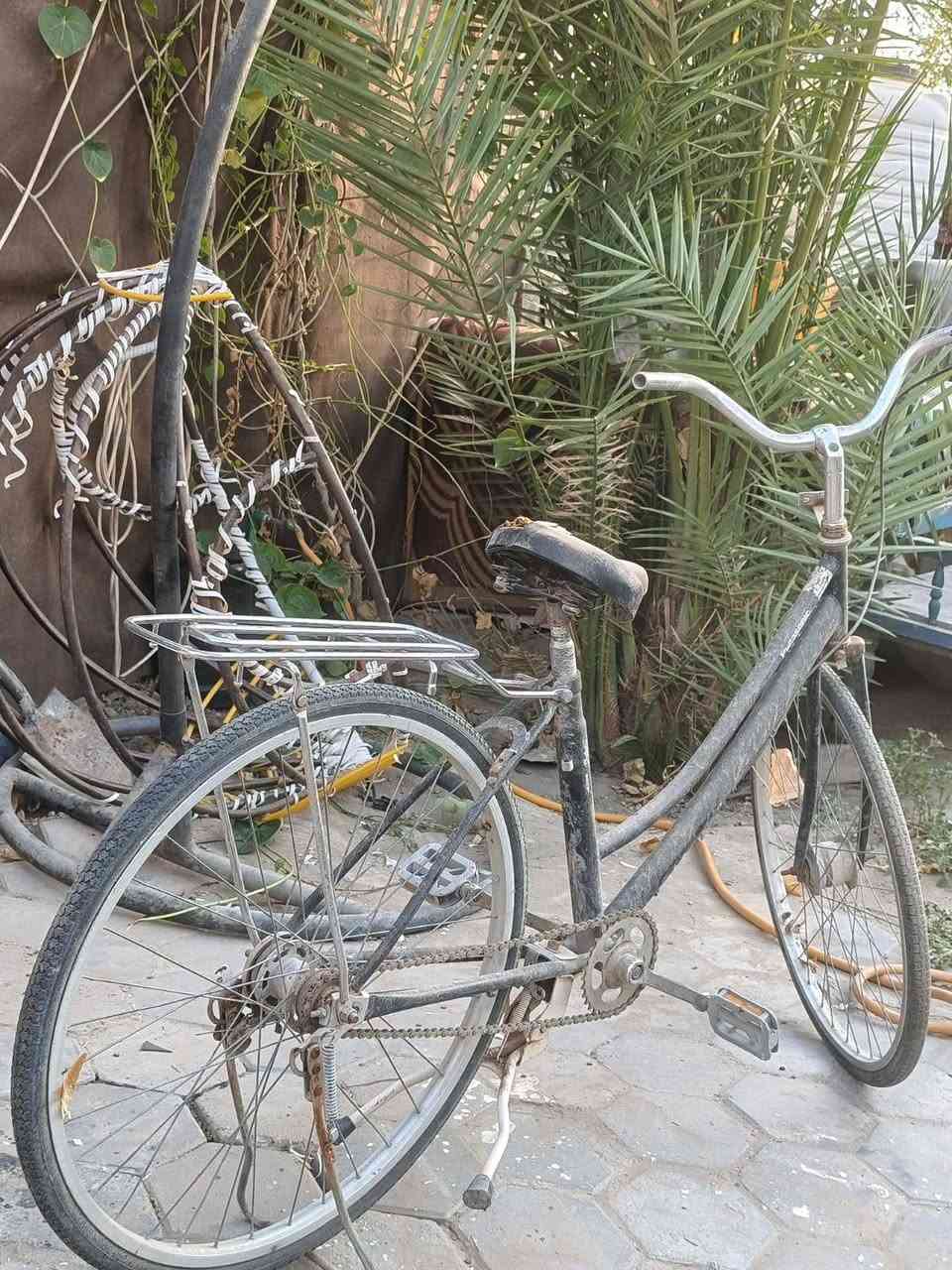 سلام عليكم الباسكلات للبيع اثنين واحد حجم 26الجاملغ الوره موجود وبي عواج بلوياله  والثاني 27 هم بي عواج بلوياله الجك موجوده مال الابيض قيم وخذ نجف حي الانصار الرقم للتصال ***********بي واتساب
