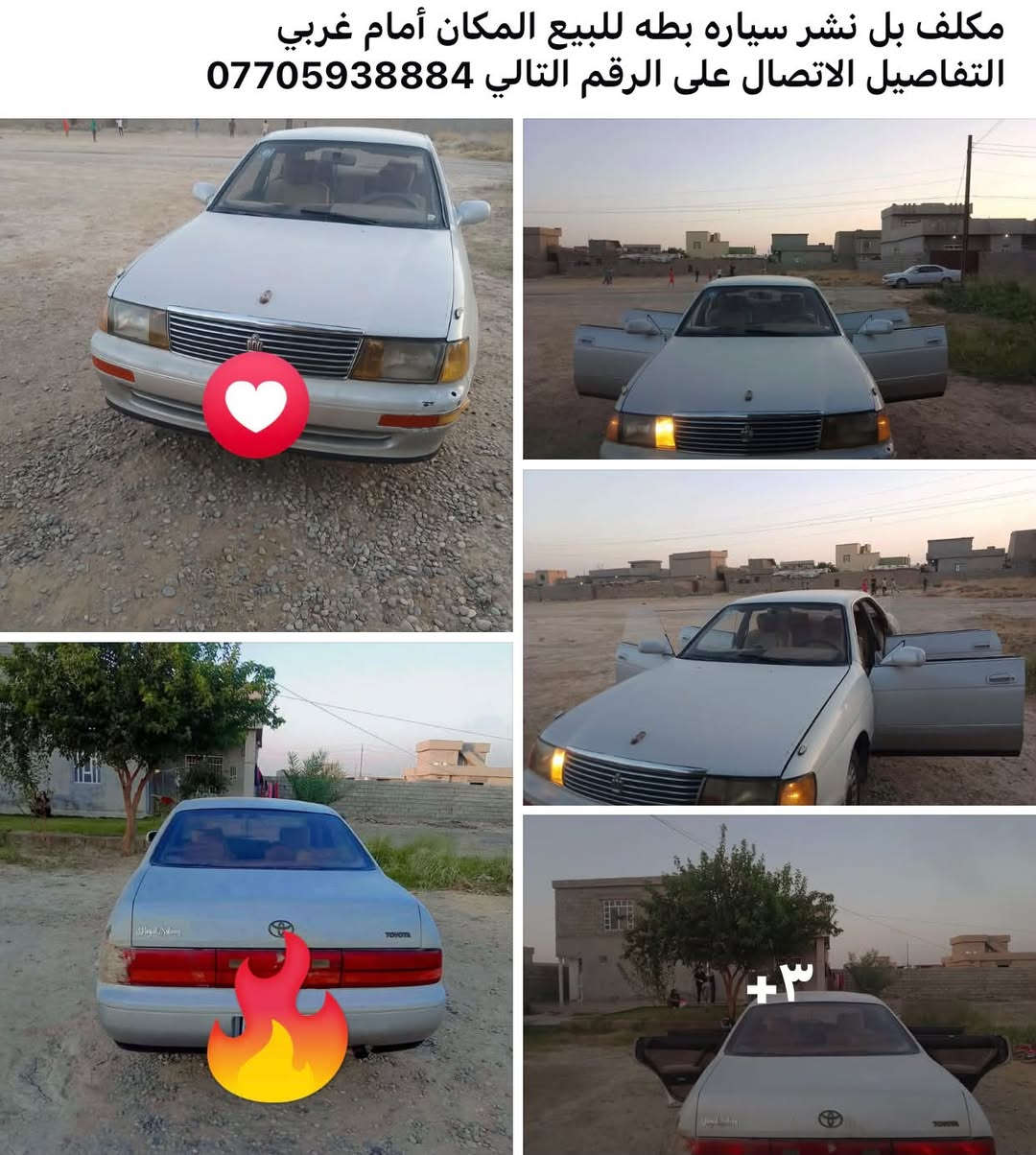 بطه • أمام غربي • للبيع