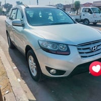 سنتافيا • ٢٠١٢ • وارد امريكي