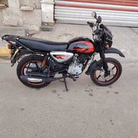 بوكسر • جبلي • ٢١