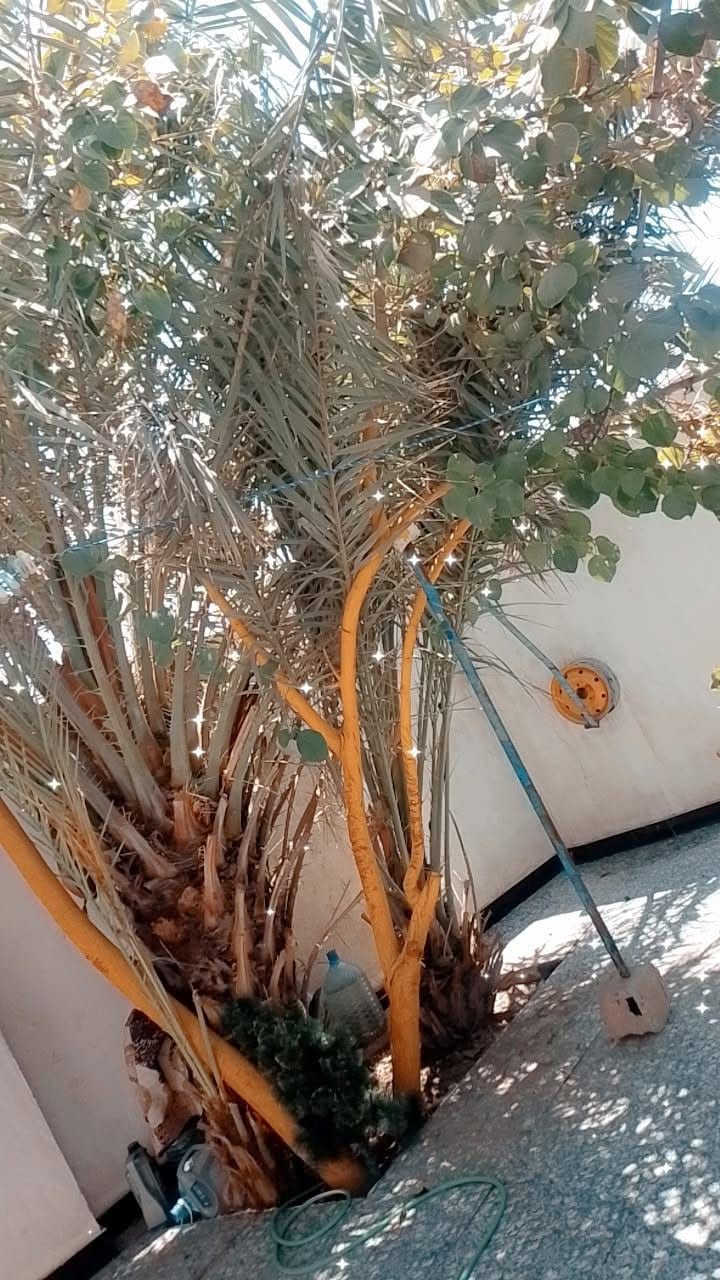 ٢٥٠م • الجبيله • غرفتين