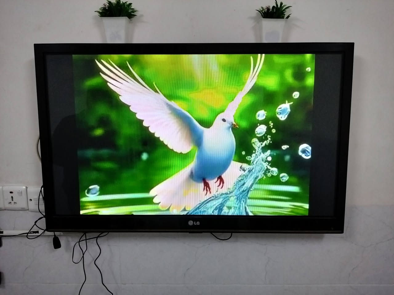 بلازما LG • أصلي • باب أول
