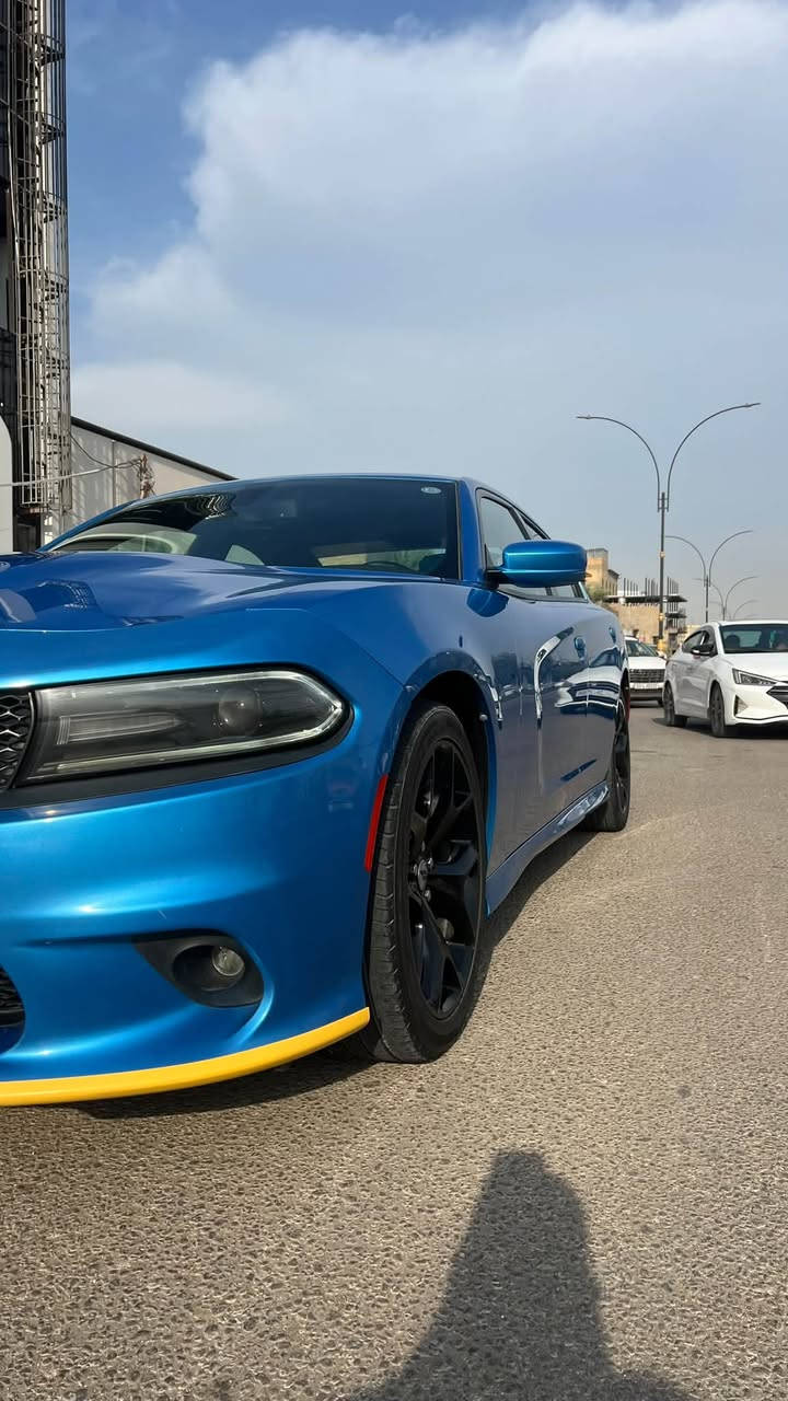 جارجر جيتي بلص • ٢٠١٩ • رقم اربيل