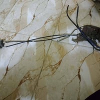 بابل • موطور • راس الثور