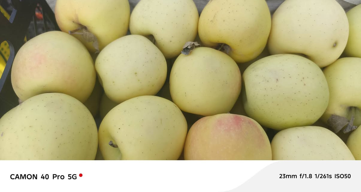 فواكه وخضرة • توصيل • علوه أبو حسن