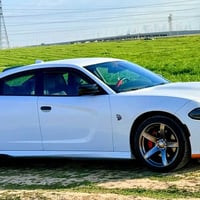 جارجر GT • ٢٠١٩ • ٦٩٠٠٠ ميل