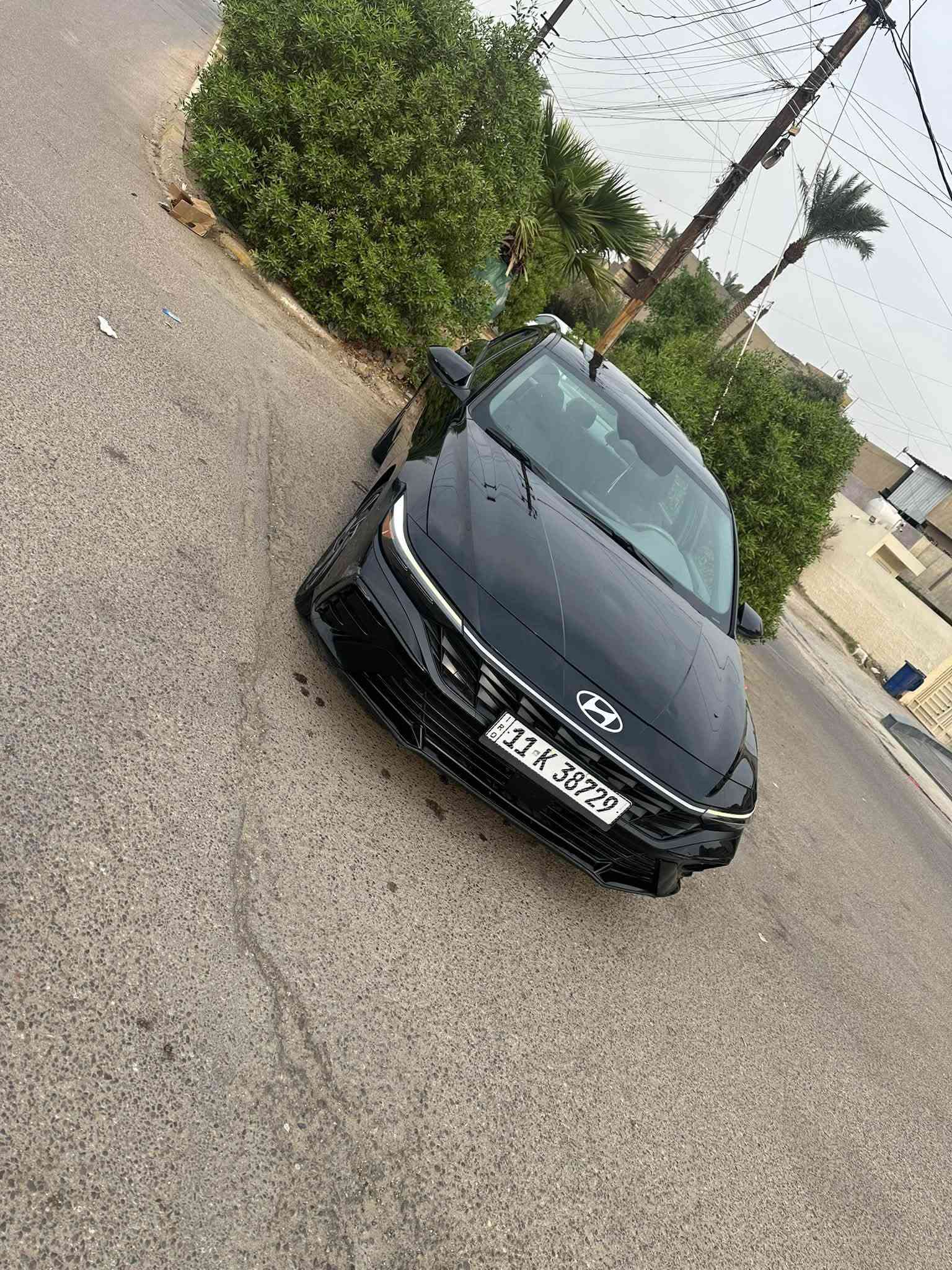 النترا • ٢٠٢٤ • وارد أمريكي