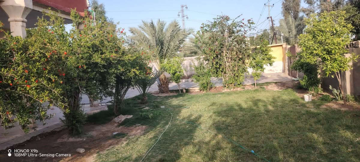 السلام عليكم بيوت عدد اثنين
مع مشتمل للبيع في حي رشيد قريب علئ مستشفئ الامام علي (ع) 
المساحه الكليه 1400 متر  مساحه البنيان 870 متر  مساحه الفارغه 530 الخدمات متوفره 
اساله كهرباء مولد تبليط مدرسه قريبه
موقعه تجاري يصلح محلات مع محطه ماء  مع  غرف عدد اثنين 5_4 مضيف 8_4 مطبخ كله سراميك وسقف ثانوي 4_4 هول 10_4 البيت الثاني نفس الغرف بس مابي مضيف مطبخ خارجي مجمع صحيات وحمام خارجي الاستفسار على هاي الارقام      ***********  ***********
