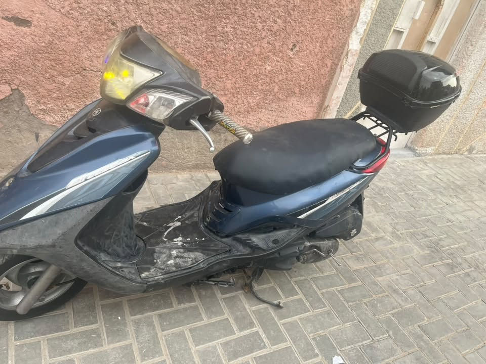 بريز بغبغاء • نضيفة • بلادية