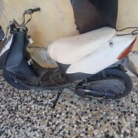 نضيفه • شغاله • المجر الكبير