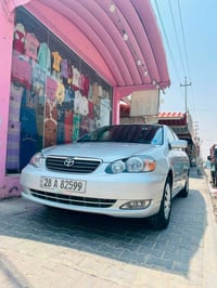 كورلا نحلة • ٢٠٠٨ • نجف