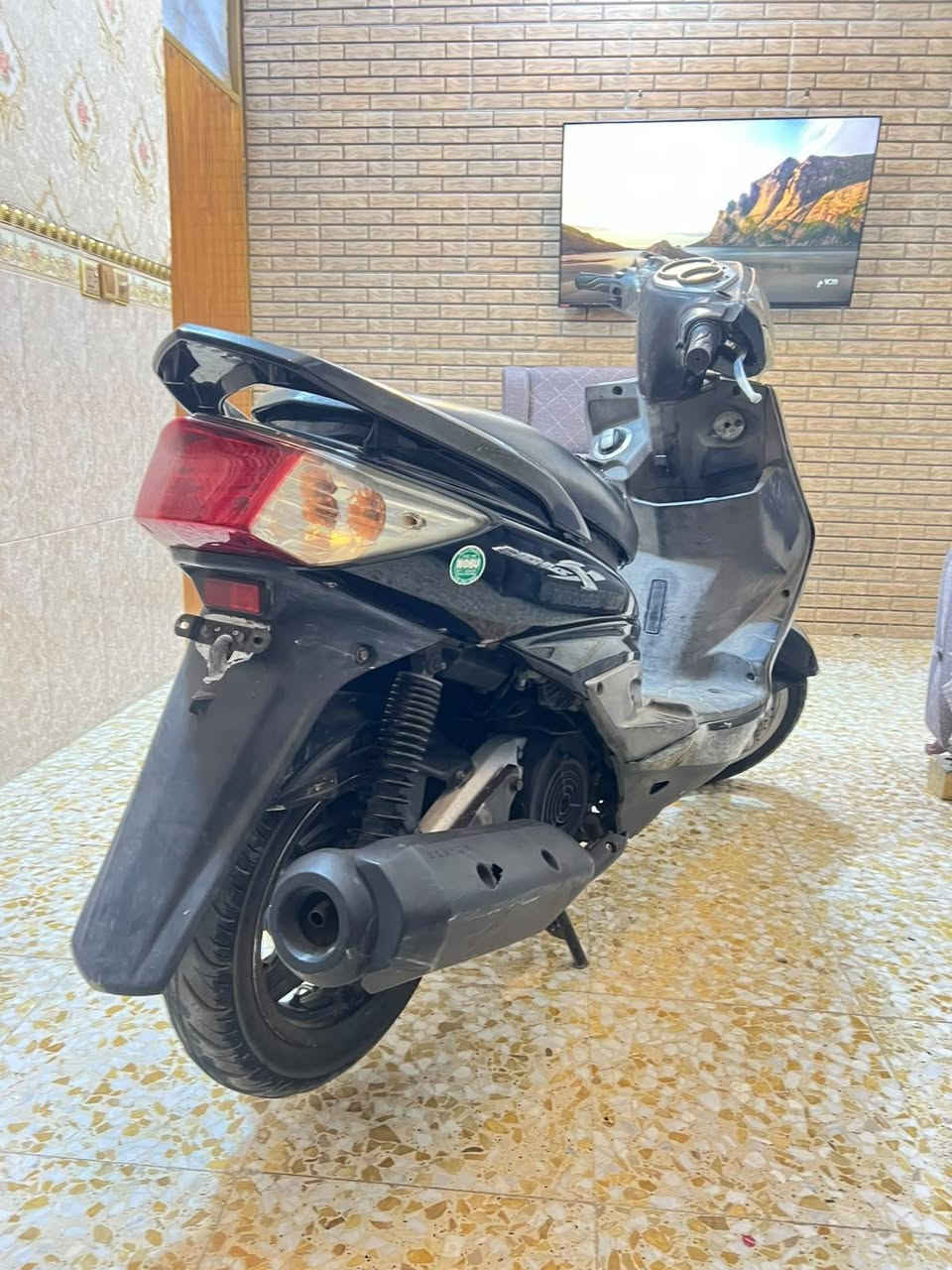 سكنس فحل • ياباني • كهربائي