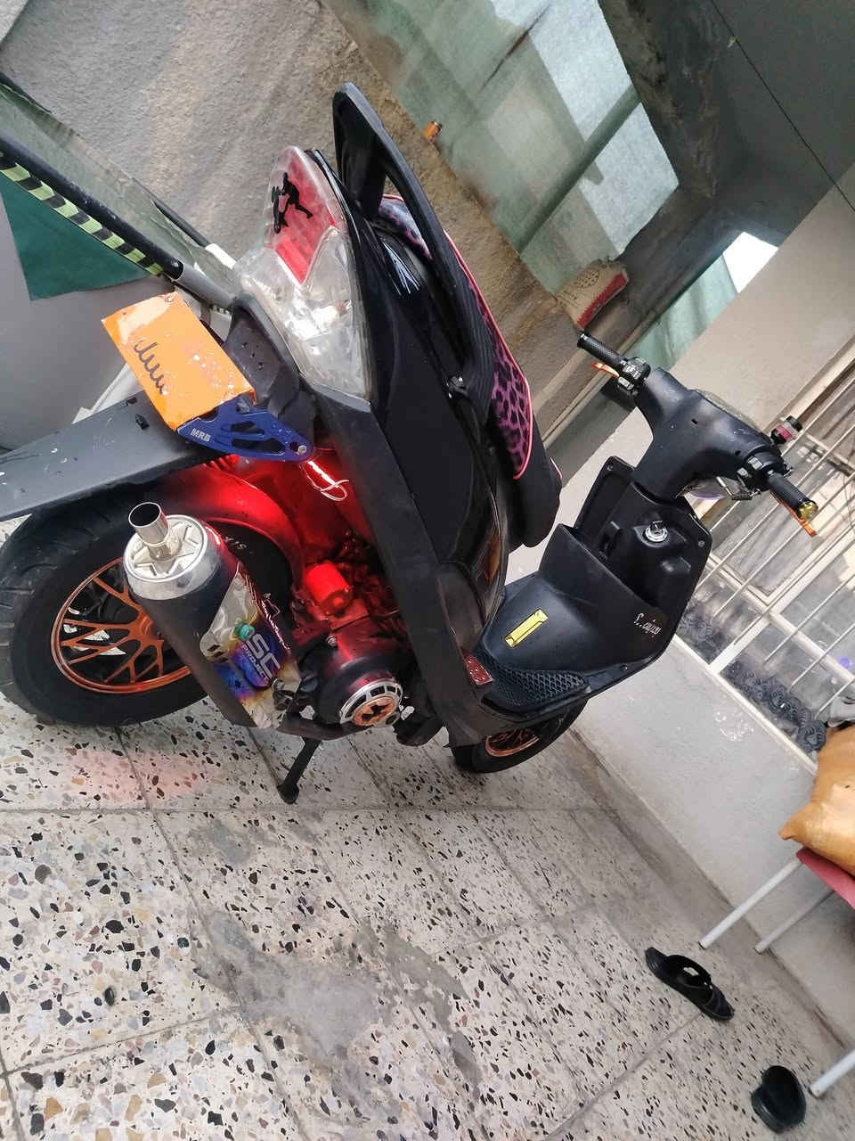 السلام عليكم ماطور ماكس عدله بوشه ٥٥ نكره سلف

كزوز رياضي وياله رياضي شيال رياضي يداد رياضي سلف رياضي فول تزويد

(((مكاني ايسر بلديات)))

((السعر ٧٠٠ وبي مجال))

شراي انتصل او خاص
*********** /***********

