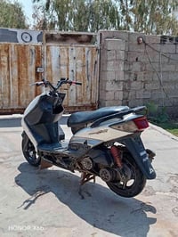 سكنس فحل • ياباني • ١٤٠