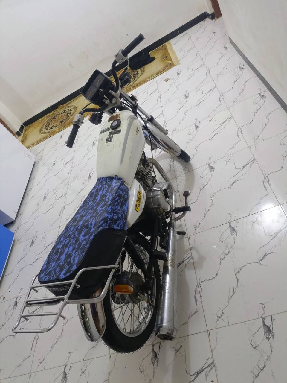 سكنس • موديل 22 • اوراق
