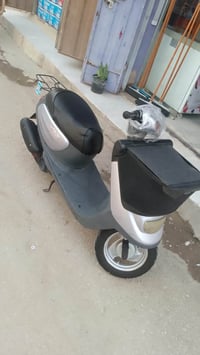 منغولي • جديدة • كربلاء
