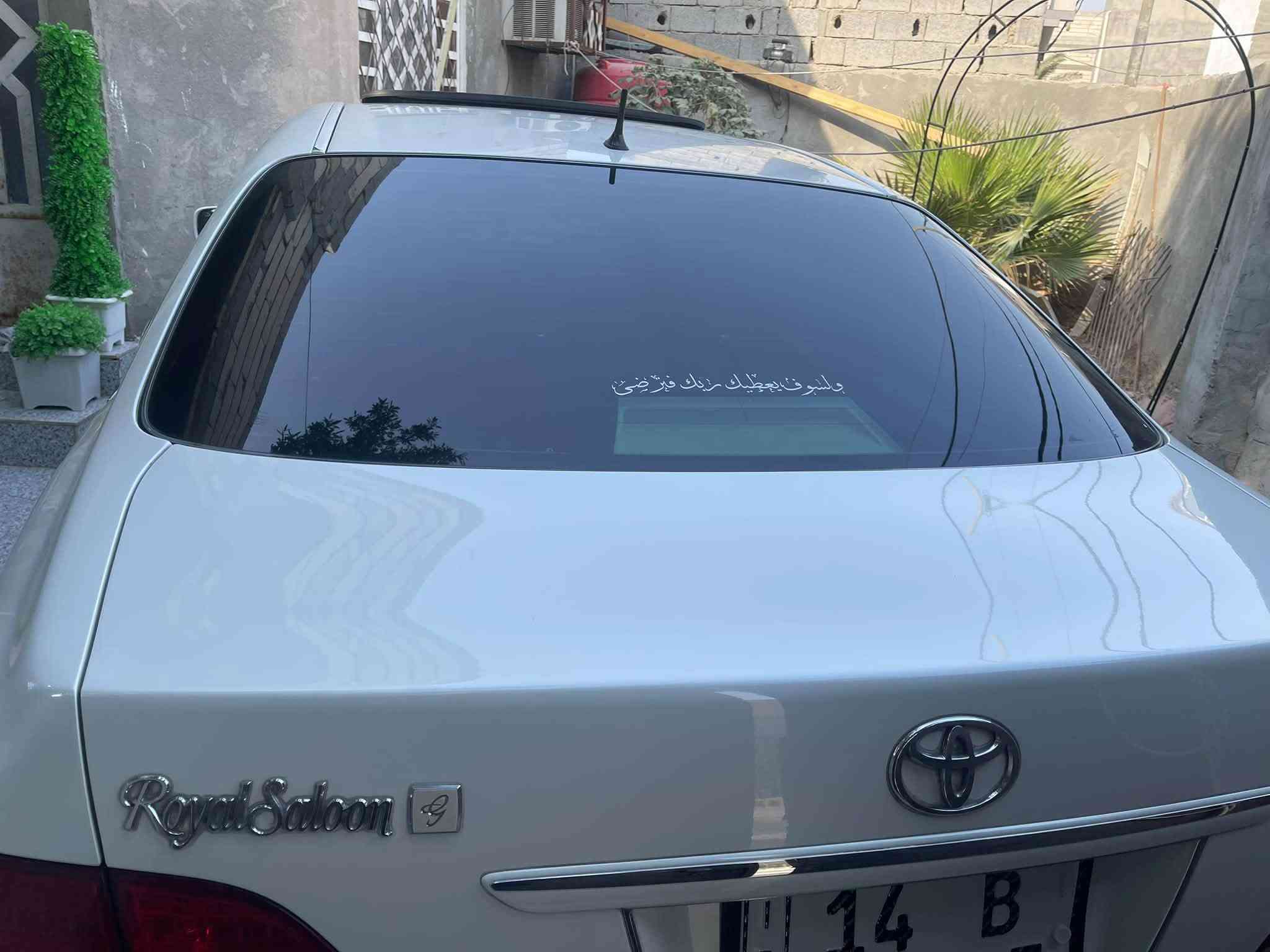 شاهينه • تسجيل بصره • فول