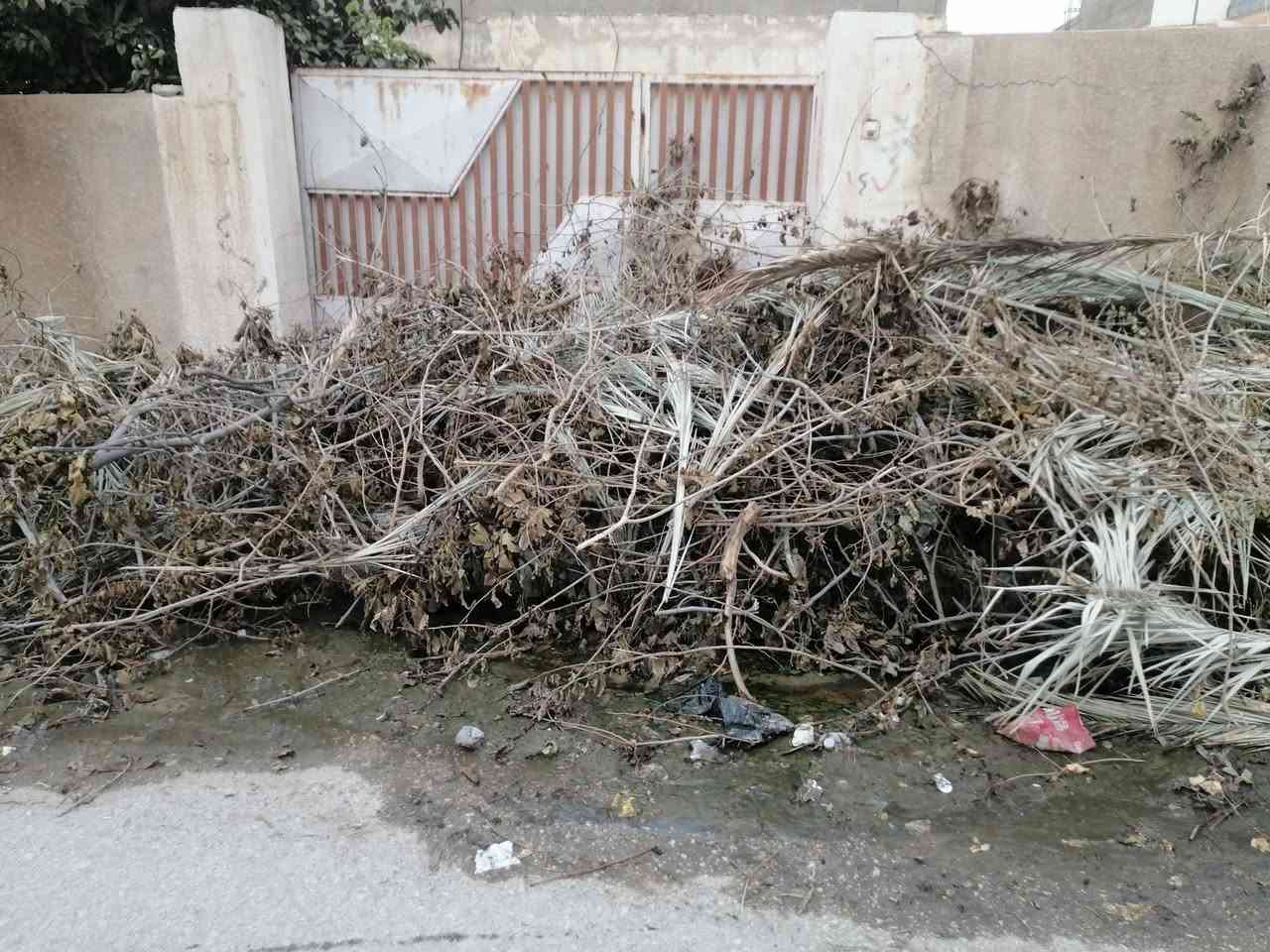 حطب مجاني • حمل تركتر • قرب جامع مصعب