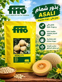 🟡 متوفر الآن لدى مجموعة شركات الريف الزراعية :  🍈 بطيخ ASALI F1🍈      ...