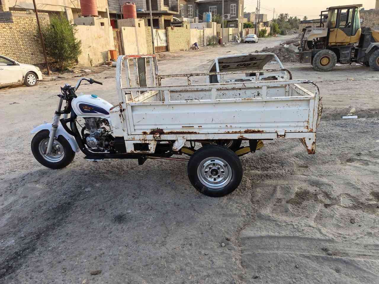 ستوتة • كلك كلك • عوزها ترتيبات