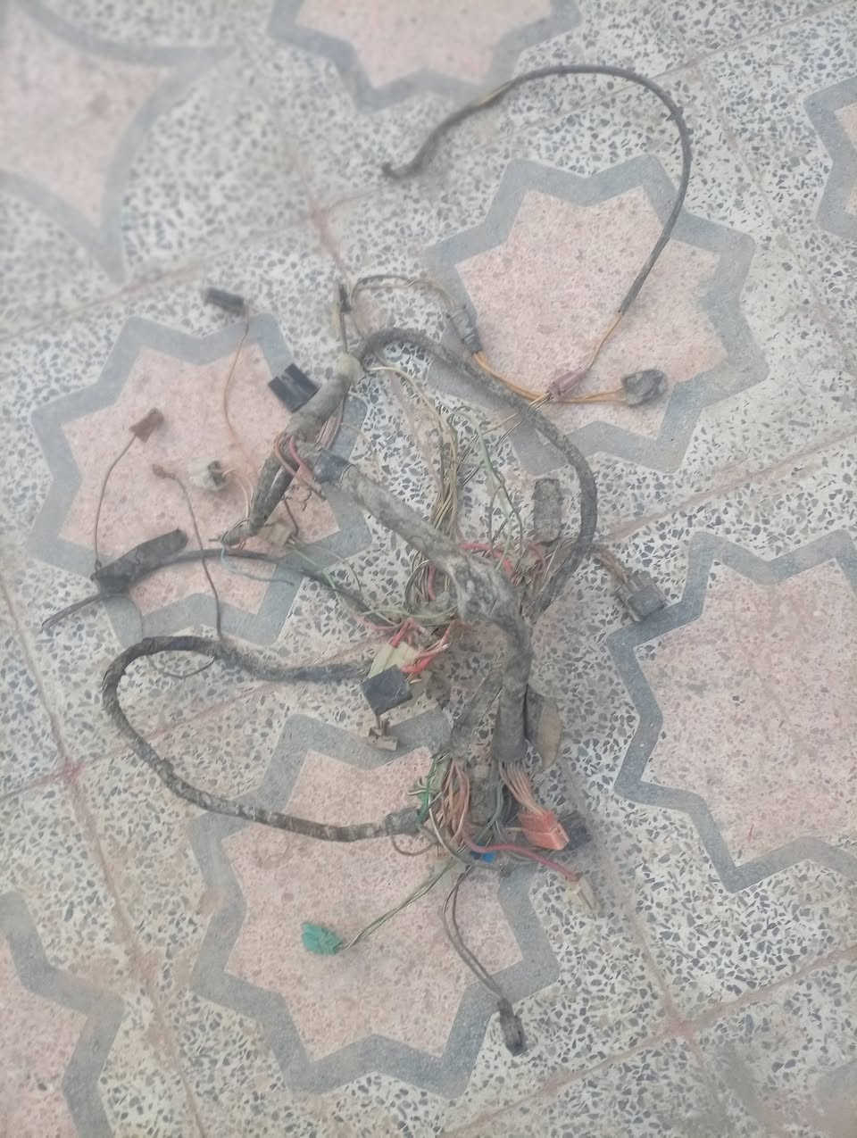 سلام عليكم كفر ساسوكي للبيع وضفيره مال ساسوكي للبيع وصالنصه نضيفه ماعرف المن للبيع ذب سعرك واخذهن
