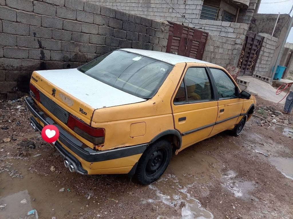 بيجو روا • ٢٠٠٨ • بدون صبغ