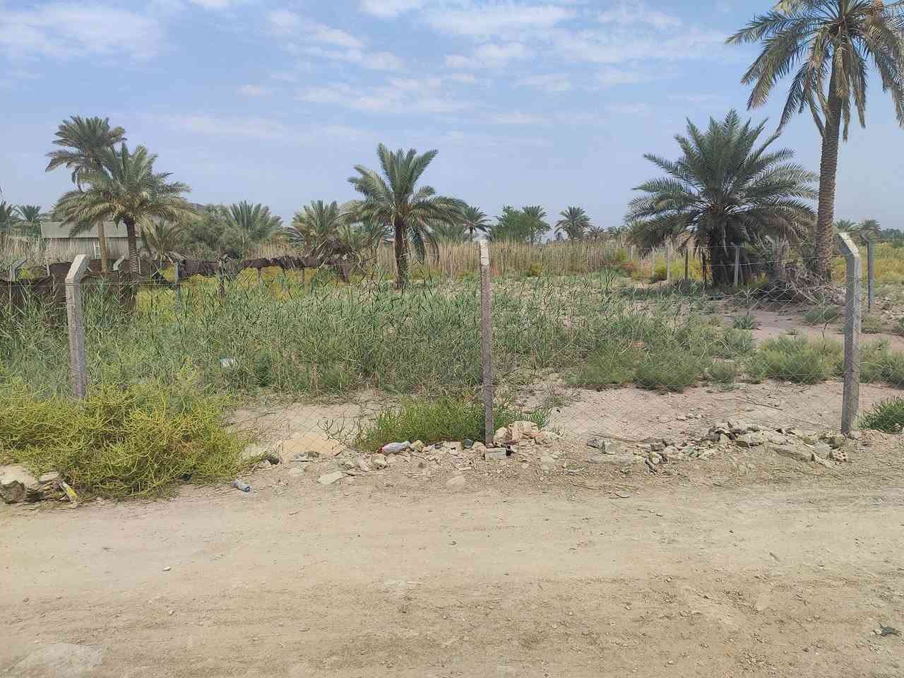 قطعه ارض زراعيه للبيع في   منطقة البوحمير قريب جدا على الشارع العام الرابط بين الورديه والبوحمير  مساحتها 800 متر طابو زراعي سند 25 مفوض بالطابو باسم المالك نفسه تحويل مباشر
يالله عرضنا مميز لهذا اليوم 

قطعه ارض زراعيه للبيع في   منطقة البوحمير قريب جدا على الشارع العام الرابط بين الورديه والبوحمير  مساحتها 900متر

وايضا بصفها  1000 متر يعني تصبح المساحه 1900 متر لنفس 

 طابو زراعي سند 25 مفوض بالطابو باسم المالك نفسه تحويل مباشر 

تحتوي على كافة الخدمات تبليط مجاري كهرباء ماء عرض الشارع 12 متر 

القطعه مسيجه BRC

 سعر ال900 متر 60 وبيها مجال 

لليرغب بالشراء مراجعة مكتب عقارات حسين المعموري الكائن في البكرلي قرب جامع سلمان المحمدي على اليمين 

او الاتصال على الرقم *********** او  واتساب

